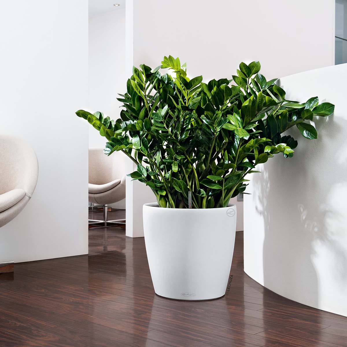 Lechuza Classico Color 12 Deco Vaso Grigio Ardesia: Il Mio Nuovo Angolo Verde Sul Tavolo!