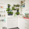 Lechuza Supporto magnetico Green Wall (per Cube 14)