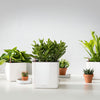 Lechuza Cube Glossy - vaso quadrato per interno