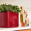 Lechuza Cube Glossy - vaso quadrato per interno