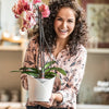 Lechuza Orchidea - vaso moderno tondo per orchidee da interno