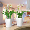 Lechuza Deltini Premium - vaso per piante e fiori da interno