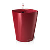 Lechuza Deltini Premium - vaso per piante e fiori da interno