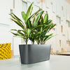 Lechuza Delta Premium - vaso ovale per orchidee o piccole piante da interno