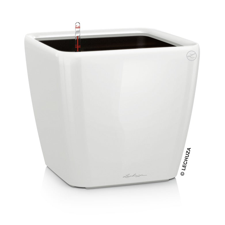 Lechuza Quadro Premium - vaso quadrato basso da interno