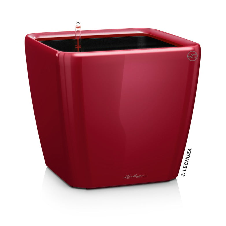 Lechuza Quadro Premium - vaso quadrato basso da interno