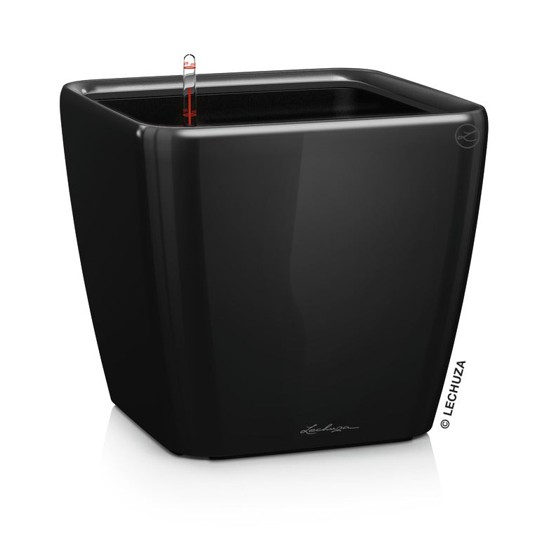 Lechuza Quadro Premium - vaso quadrato basso da interno