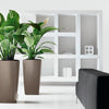 Lechuza Cubico Premium - vaso quadrato alto da interno