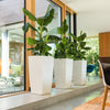 Lechuza Cubico Premium - vaso quadrato alto da interno