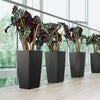Lechuza Cubico Premium - vaso quadrato alto da interno