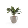 Ecopots Antwerp - vaso tondo basso da interno/esterno
