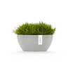 Ecopots Sofia - vaso per orchidee ovale da interno/esterno