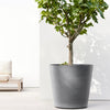 Ecopots Amsterdam Wheels - vaso tondo con rotelle da interno/esterno