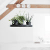 Ecopots Sottovaso da appendere