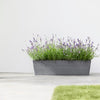 Ecopots Bruges - cassetta rettangolare lunga da interno/esterno