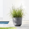 Ecopots Oslo - vaso tondo basso da interno/esterno