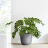 Ecopots Oslo - vaso tondo basso da interno/esterno