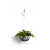 Ecopots Brussels da appendere - vaso con ganci da interno