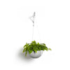 Ecopots Brussels da appendere - vaso con ganci da interno