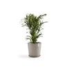 Ecopots Sottovasi tondi