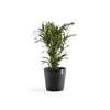Ecopots Amsterdam - vaso tondo basso da interno/esterno