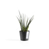 Ecopots Amsterdam Mini - vaso tondo da interno