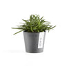 Ecopots Amsterdam Mini - vaso tondo da interno