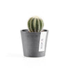 Ecopots Amsterdam Mini - vaso tondo da interno