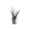 Ecopots Amsterdam Mini - vaso tondo da interno