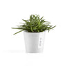 Ecopots Amsterdam Mini - vaso tondo da interno