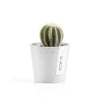 Ecopots Amsterdam Mini - vaso tondo da interno