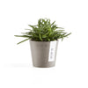 Ecopots Amsterdam Mini - vaso tondo da interno