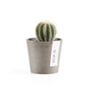 Ecopots Amsterdam Mini - vaso tondo da interno