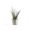Ecopots Amsterdam Mini - vaso tondo da interno