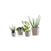 Ecopots Amsterdam Mini - vaso tondo da interno