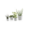 Ecopots Amsterdam Mini - vaso tondo da interno