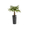 Ecopots Amsterdam High - vaso tondo alto da interno/esterno