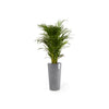 Ecopots Amsterdam High - vaso tondo alto da interno/esterno