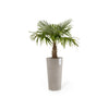 Ecopots Amsterdam High - vaso tondo alto da interno/esterno