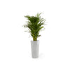 Ecopots Amsterdam High - vaso tondo alto da interno/esterno