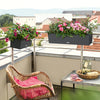 Lechuza Supporto Balconera