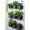 Lechuza Supporto magnetico Green Wall (per Cube 14)