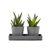 Ecopots Sottovasi rettangolari per mini vasi