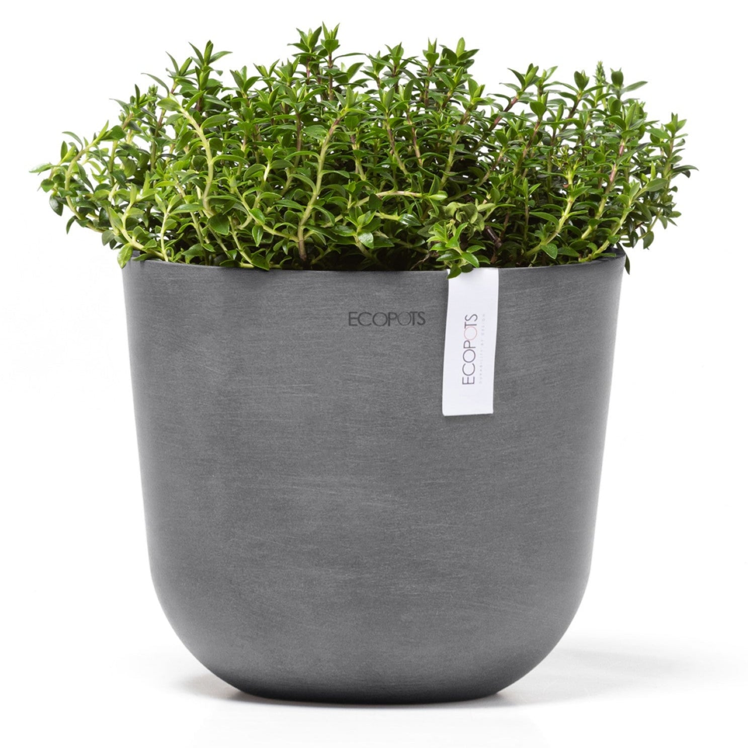 Sottovaso per vaso da fiori Amsterdam in pvc color grigio scuro H 2.5 x Sottovaso per vaso da fiori Amsterdam in pvc color grigio scuro H 2.5 x