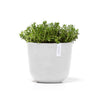 Ecopots Oslo Mini - vaso tondo da interno