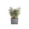 Ecopots Paris Wheels - fioriera rettangolare lunga e alta da interno/esterno