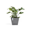 Ecopots Rotterdam - vaso quadrato basso da interno/esterno