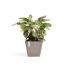 Ecopots Rotterdam - vaso quadrato basso da interno/esterno
