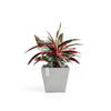 Ecopots Rotterdam - vaso quadrato basso da interno/esterno