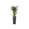 Ecopots Rotterdam High - vaso quadrato alto da interno/esterno